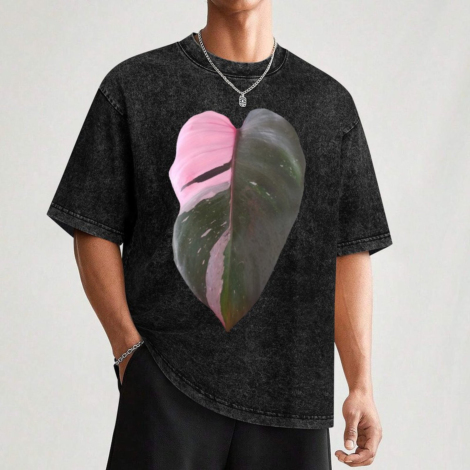 Pink Princess Philodendron Lea - Philodendron Pink Princess review and price