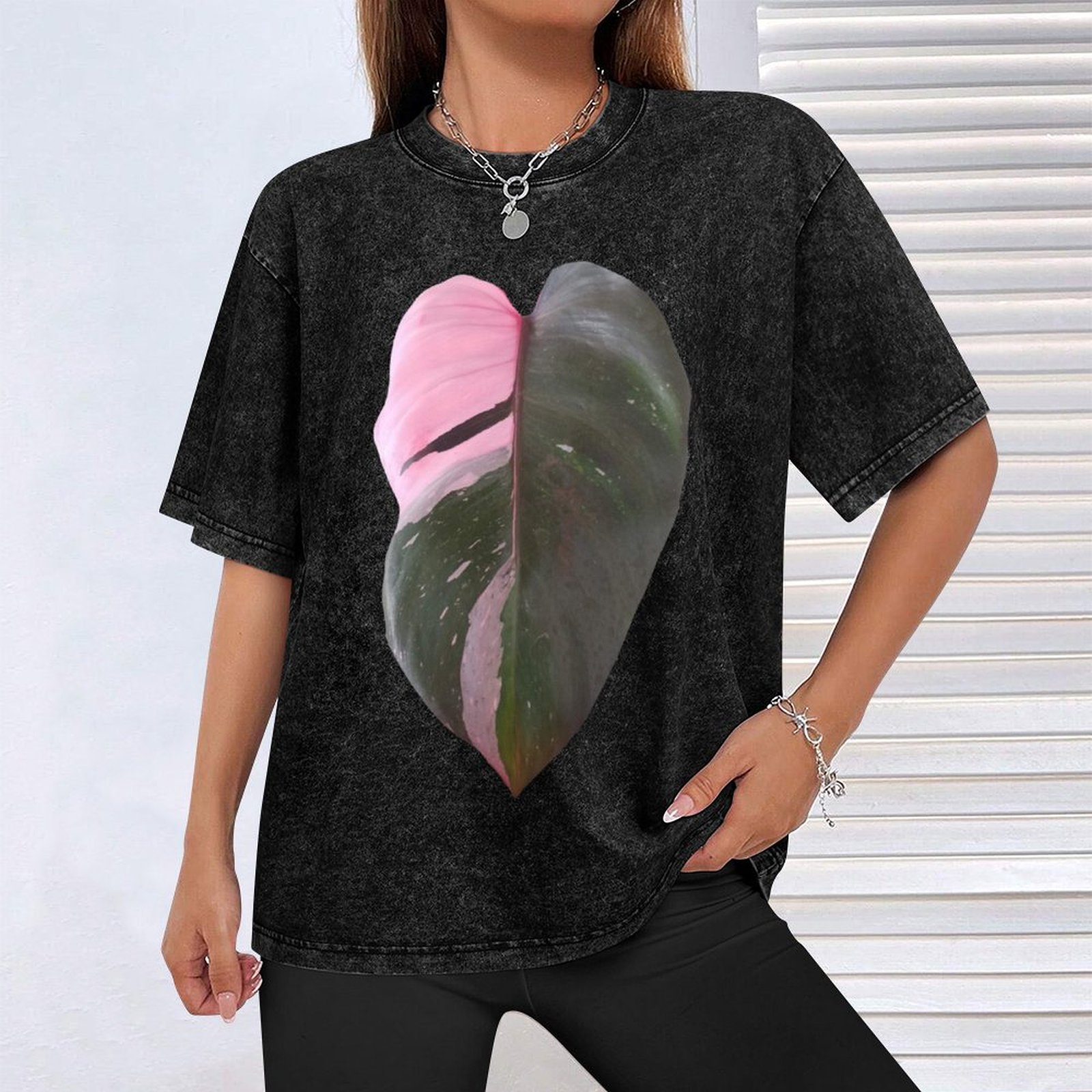 Pink Princess Philodendron Lea - Philodendron Pink Princess review and price